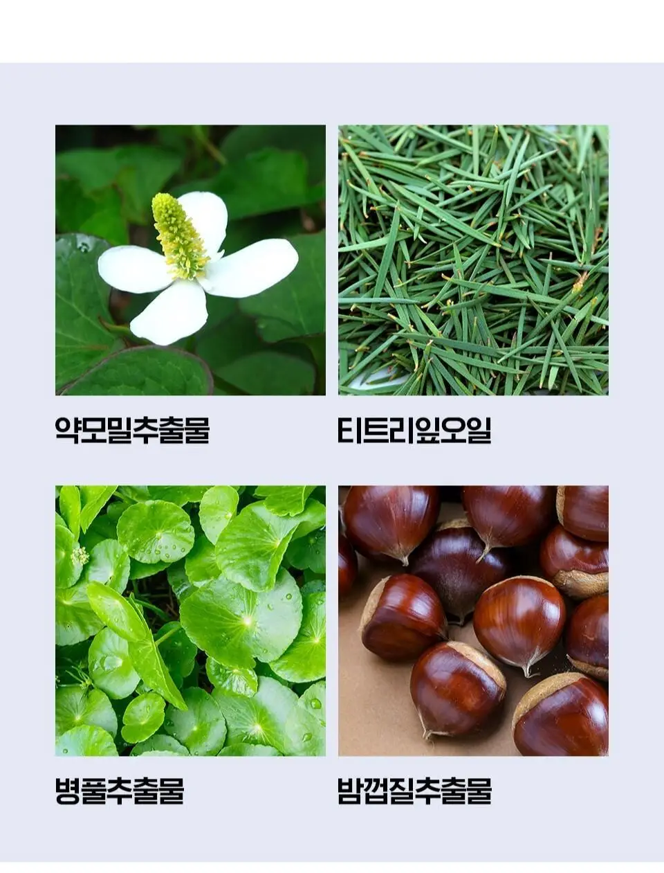 [피지폼] 아이소이 아크니 닥터 1st 블랙 딥 클렌징 폼 75ml 상세페이지 18